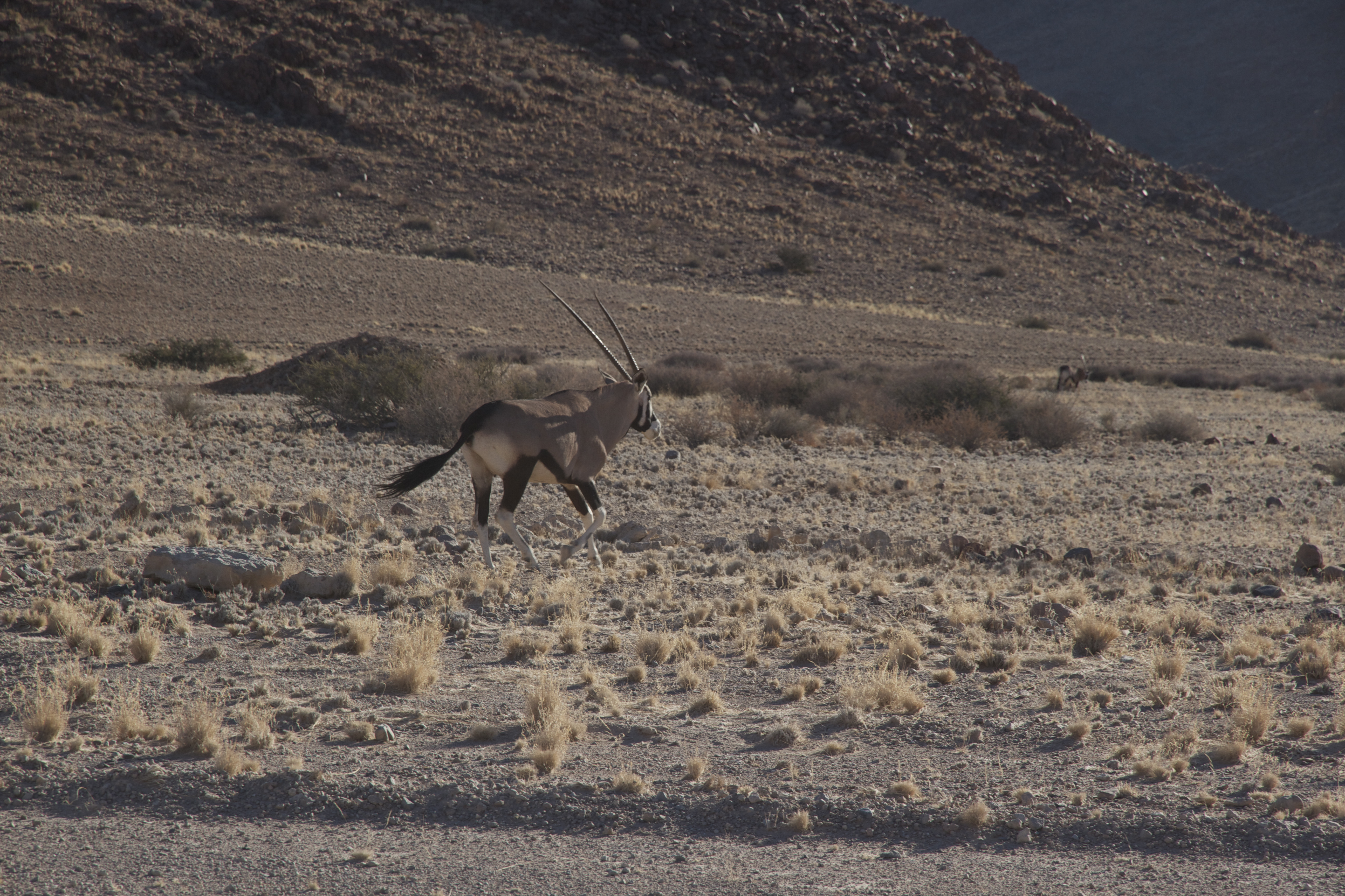 namibia 2 - 757.jpg