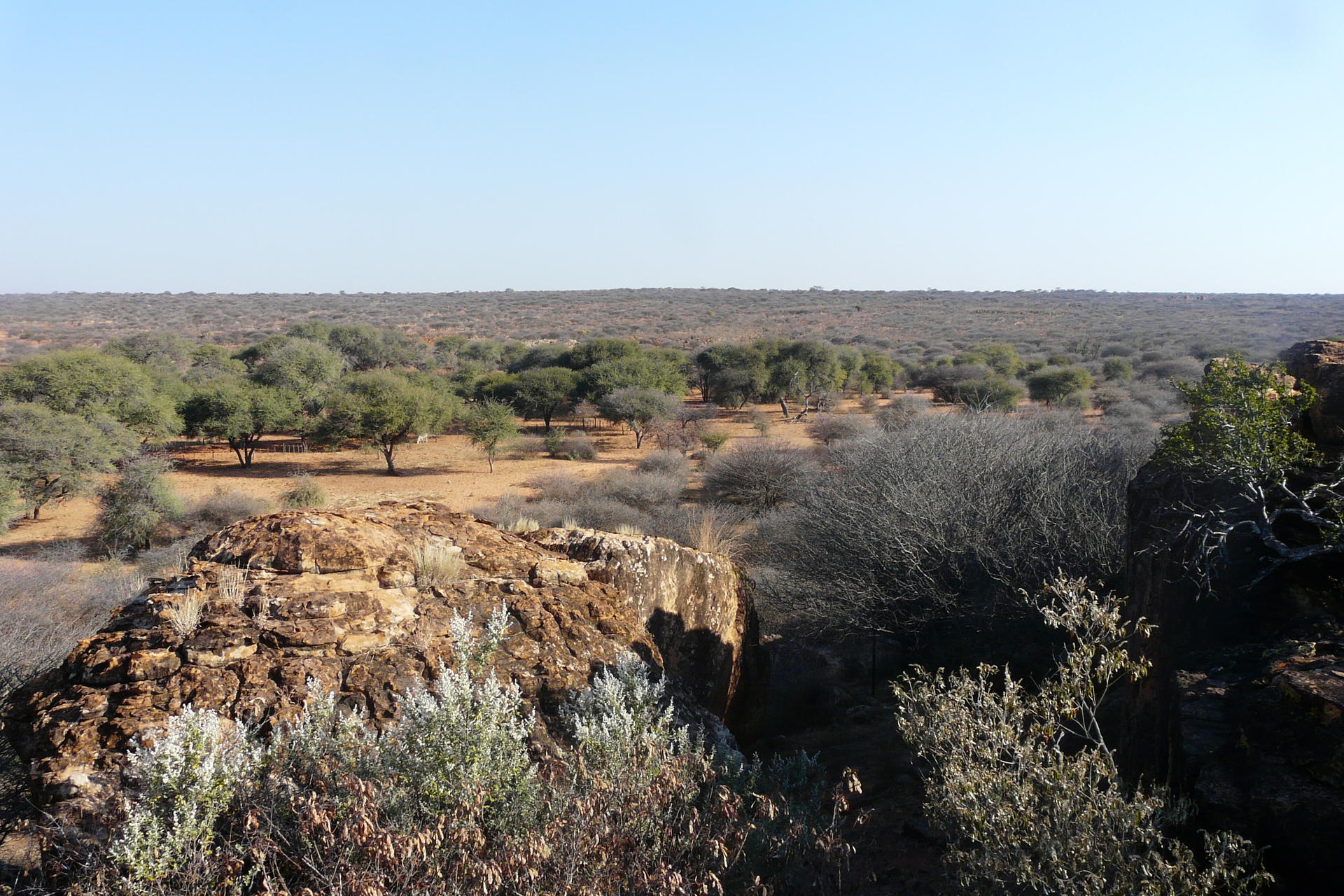 Namibia Hunting 2009 291.jpg