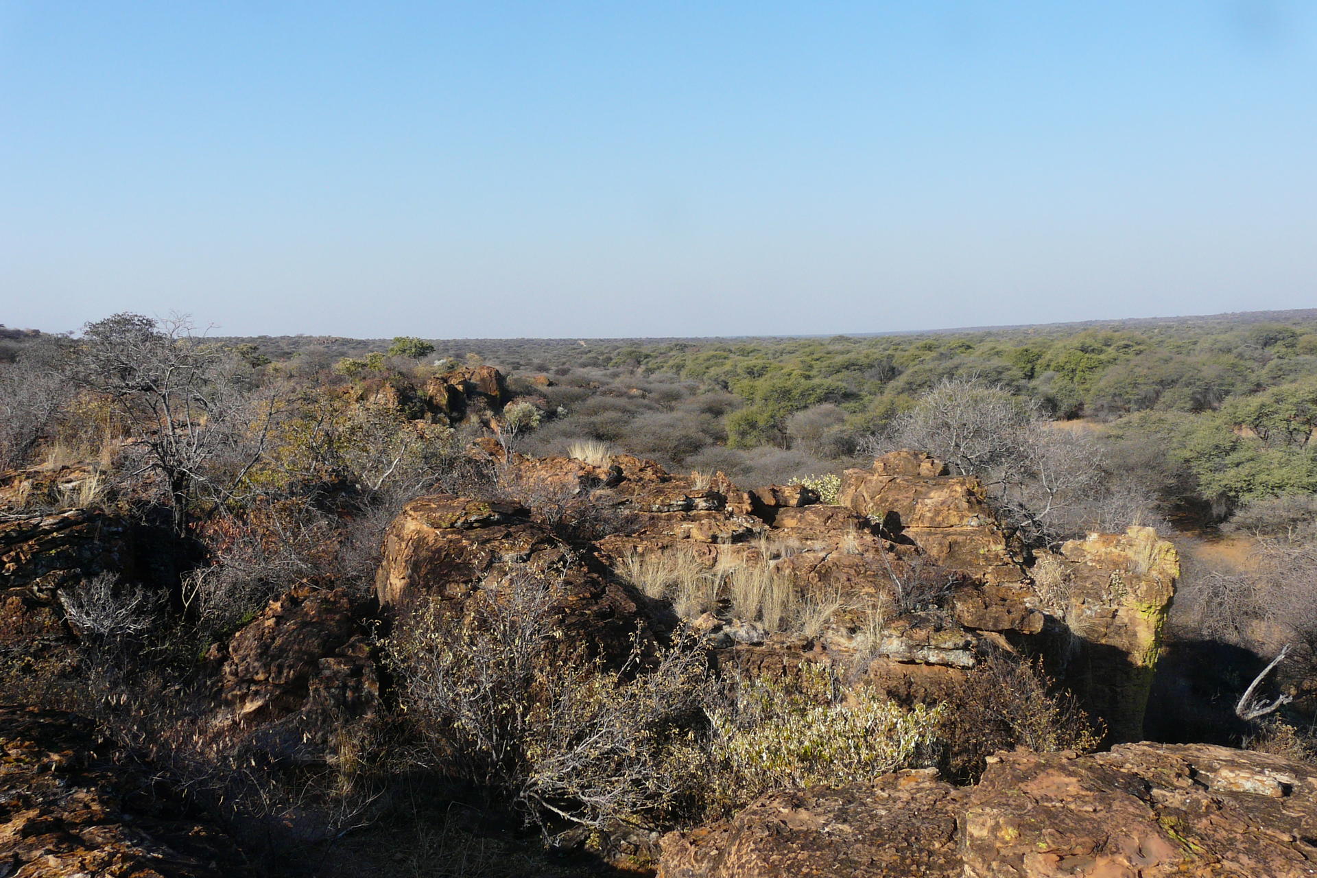 Namibia Hunting 2009 293.jpg