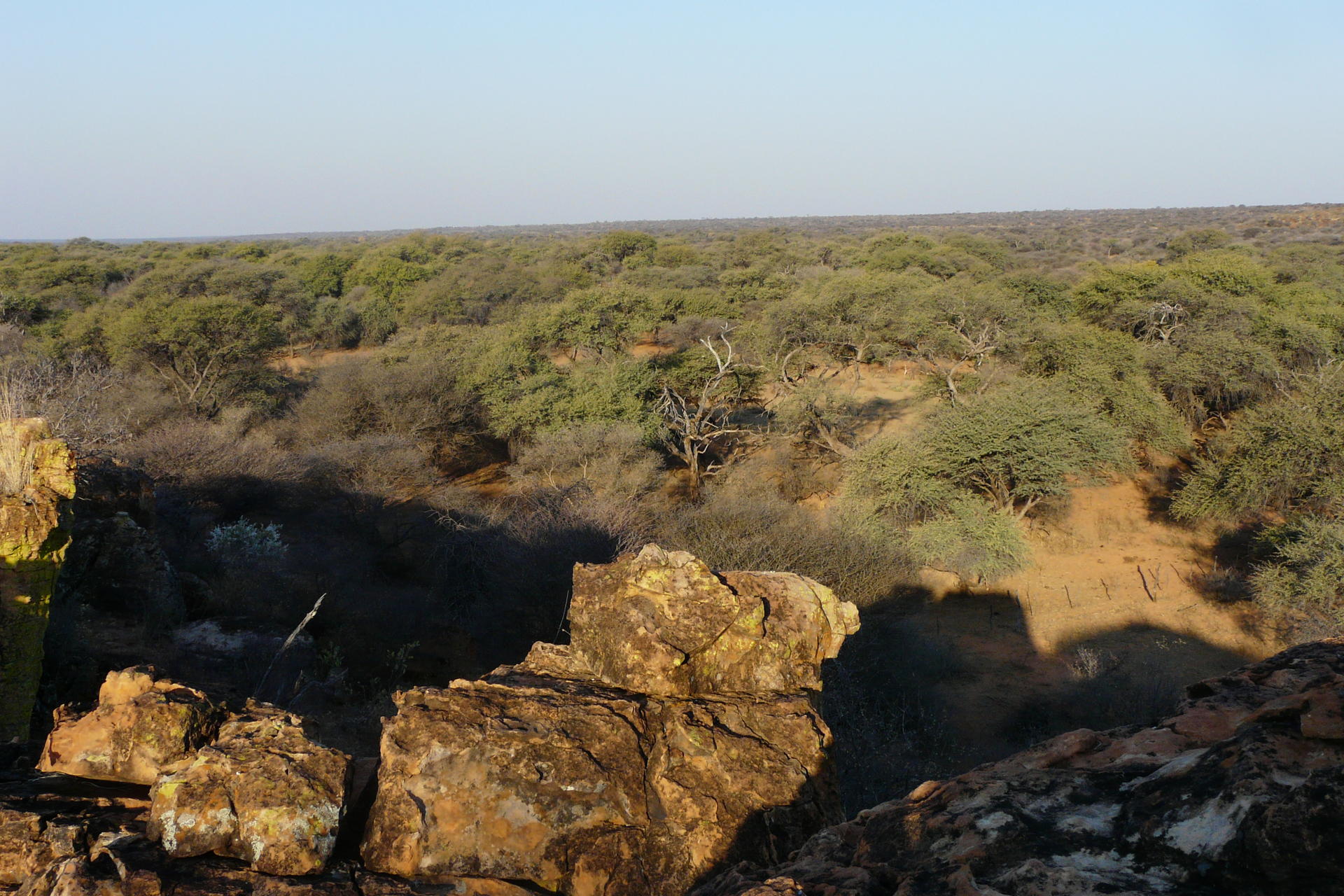 Namibia Hunting 2009 309.jpg