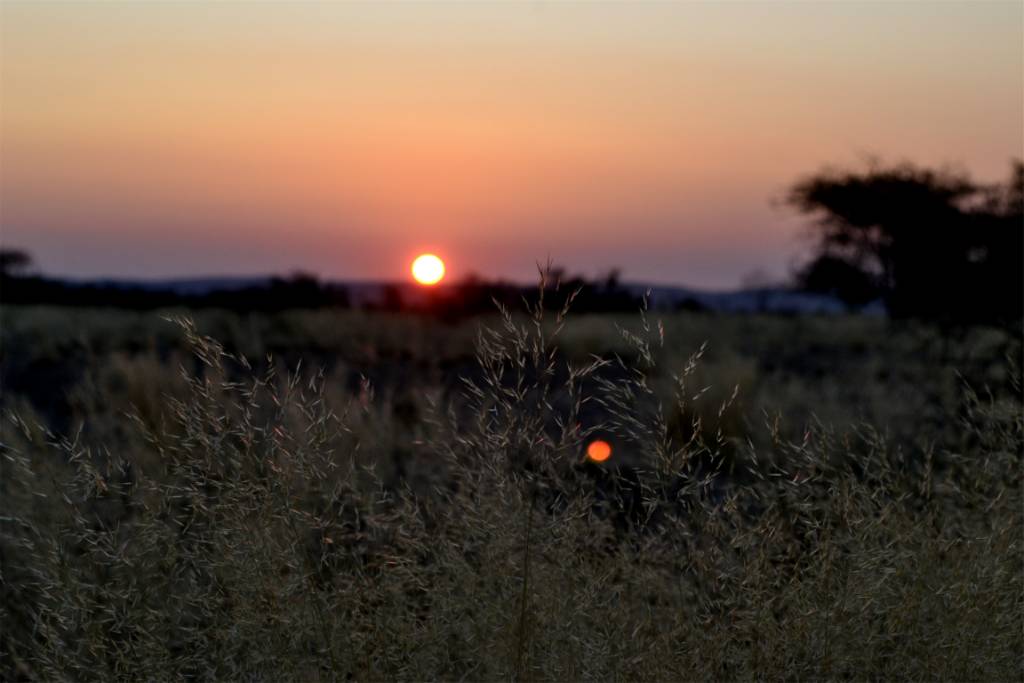 Namibia Hunting and Road Trip. 1201.jpg