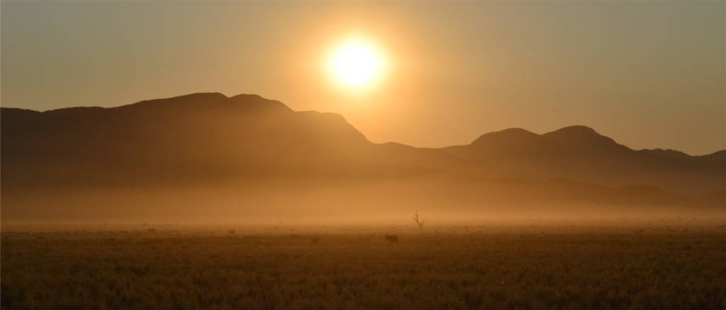 Namibia Hunting and Road Trip. 1237.jpg