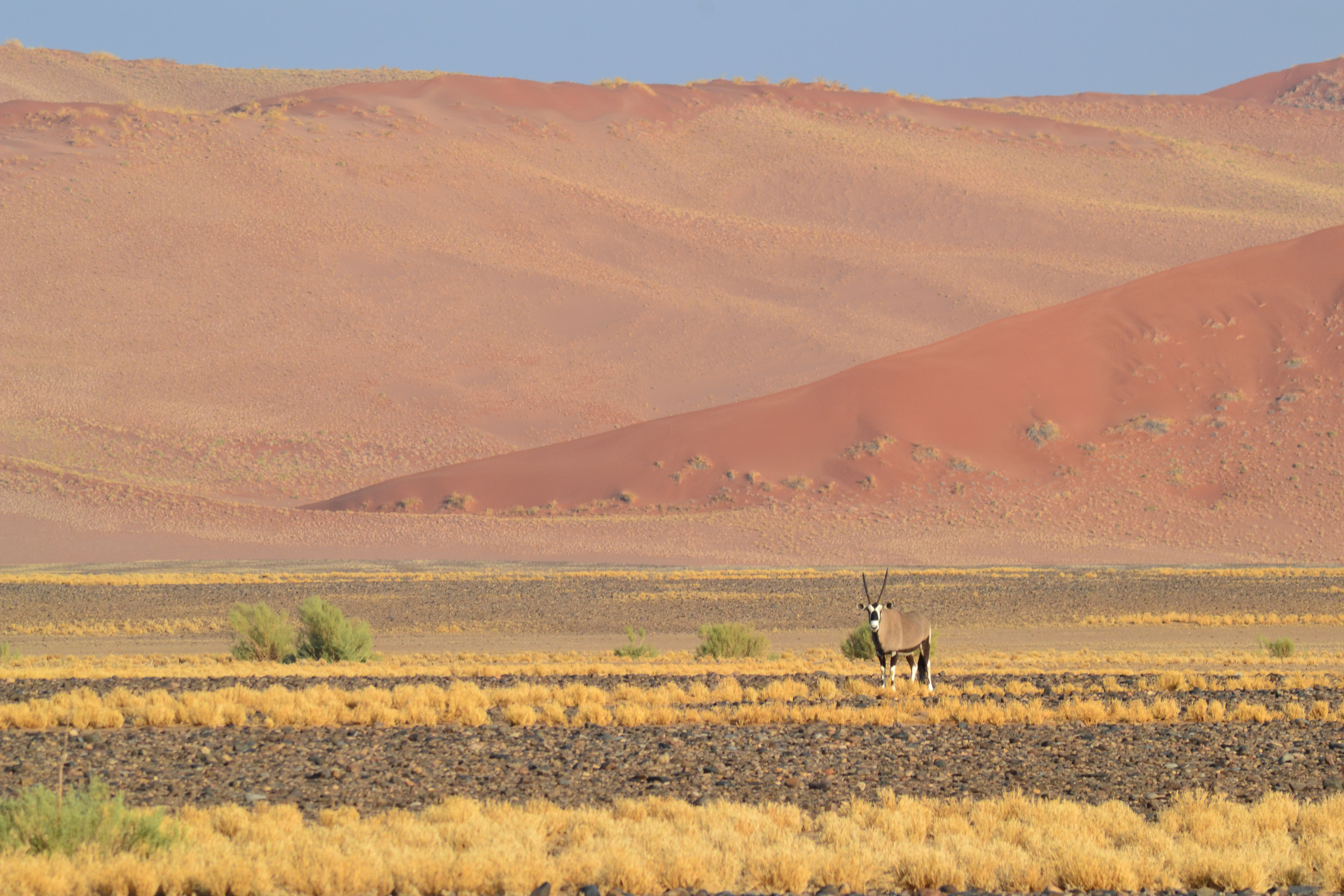 Namibia Hunting and Road Trip. 1246.jpg