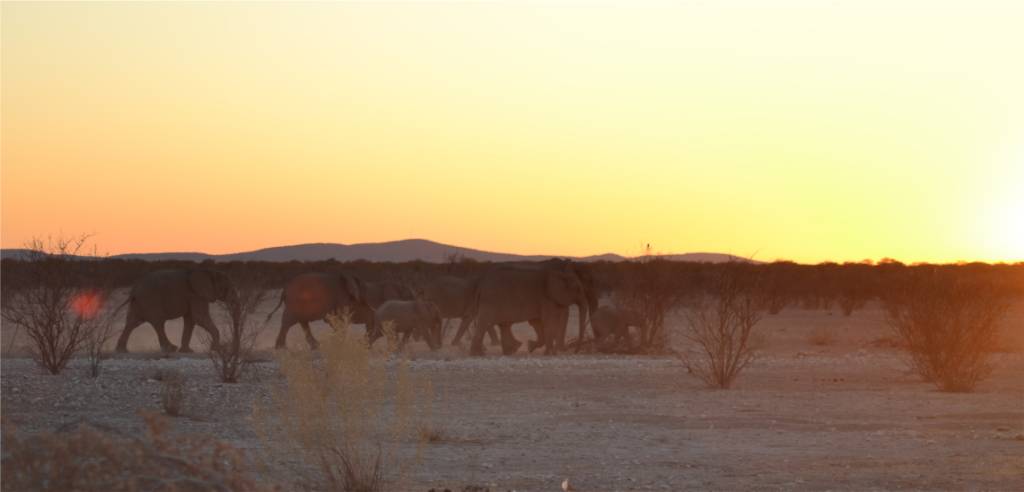 Namibia Hunting and Road Trip. 809.jpg