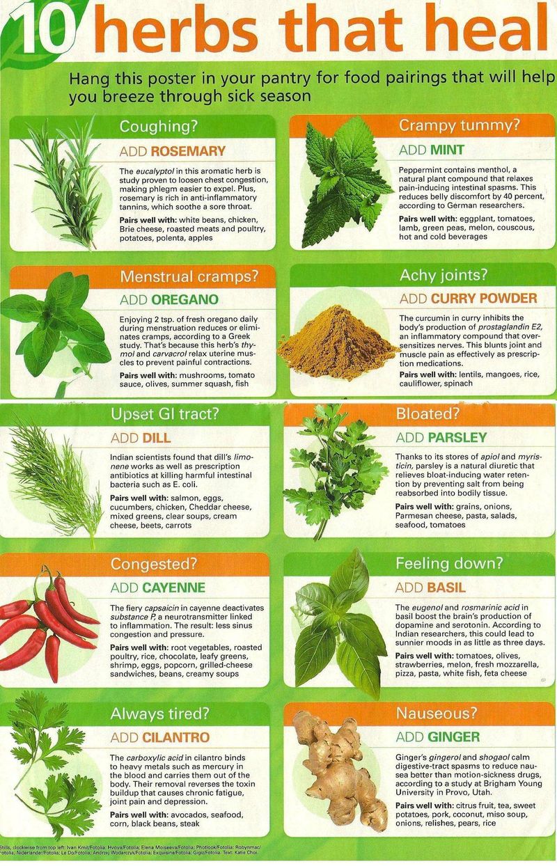 Natural-herbs-that-heal.jpg