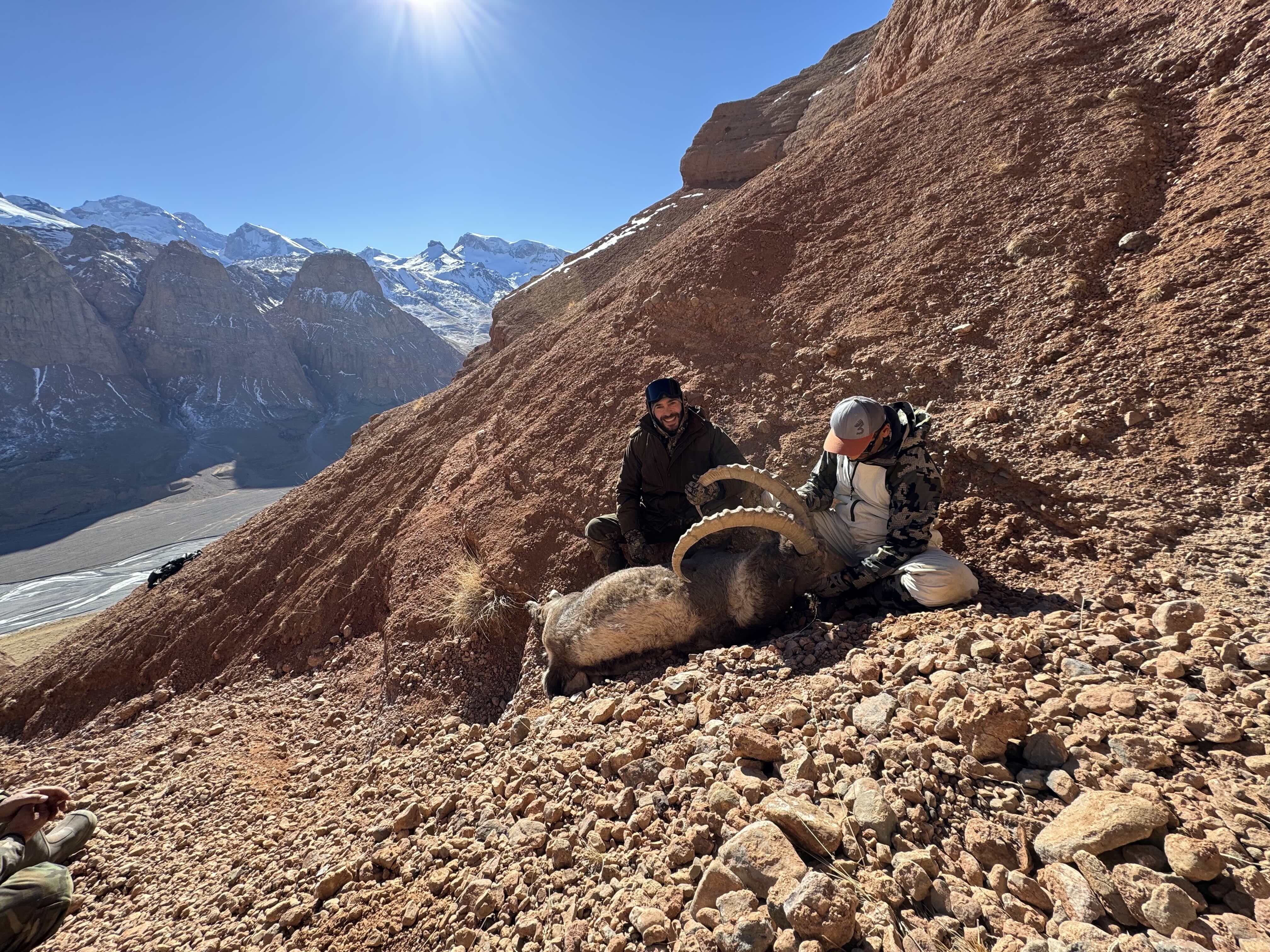 Negib's ibex.jpeg