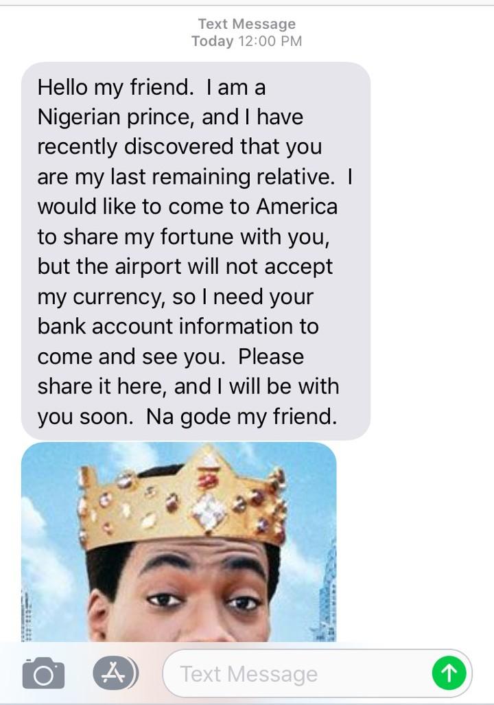 Nigerian Prince.jpg