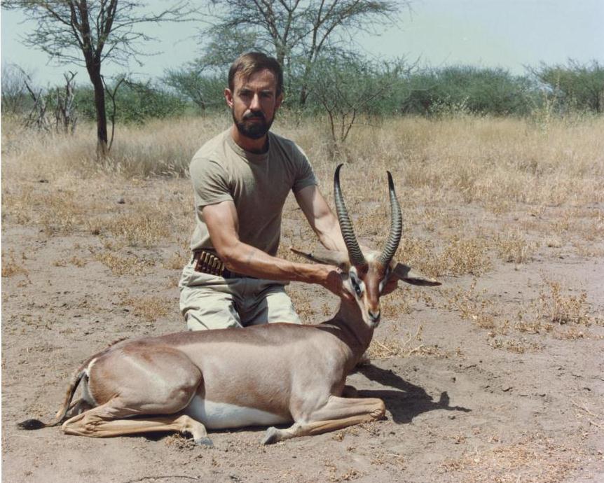 Northern Gerenuk Awash.jpg