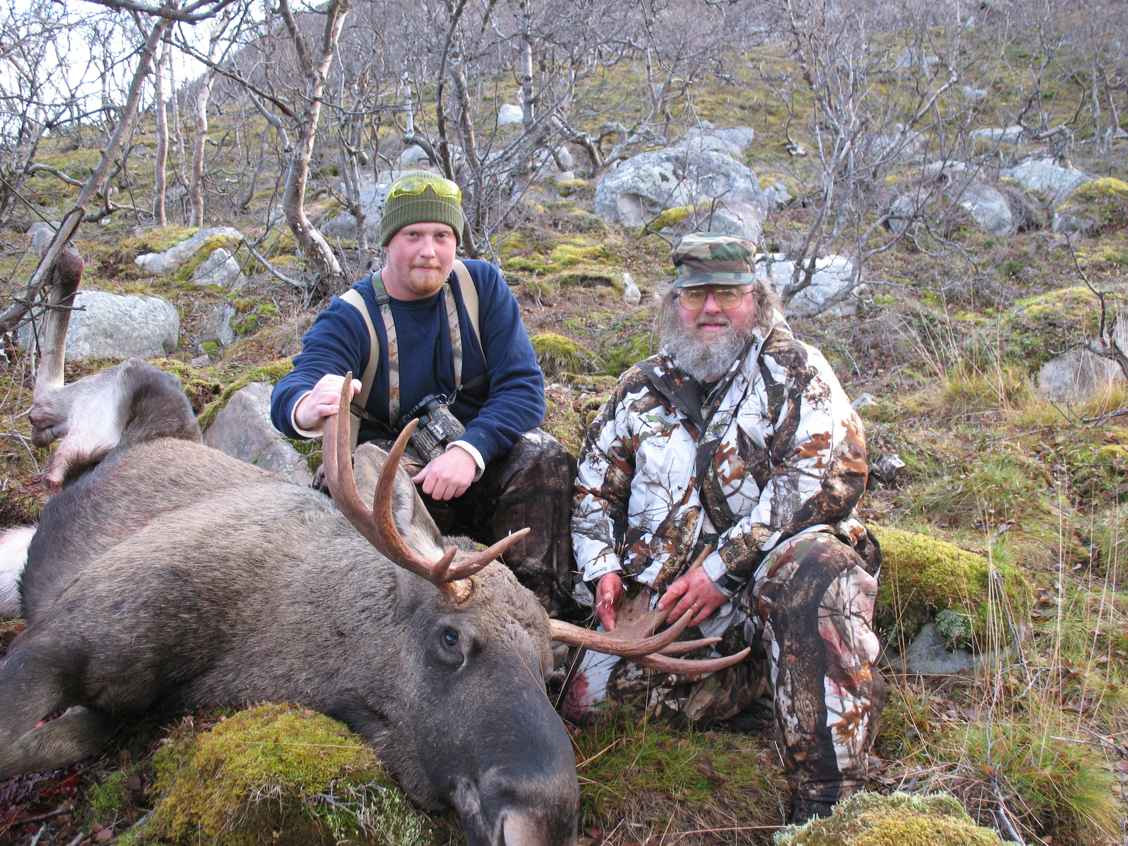 Norway Moose 2011 .JPG