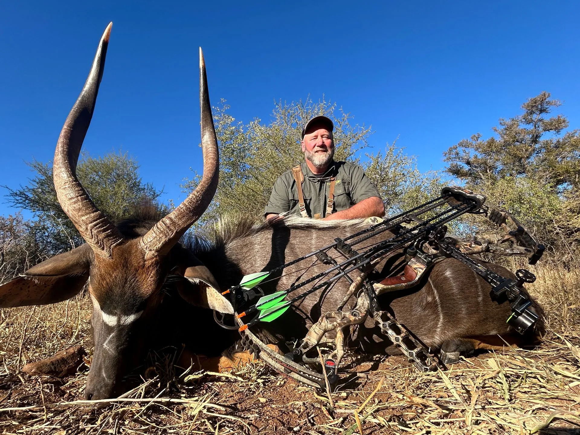 Nyala Bow.webp