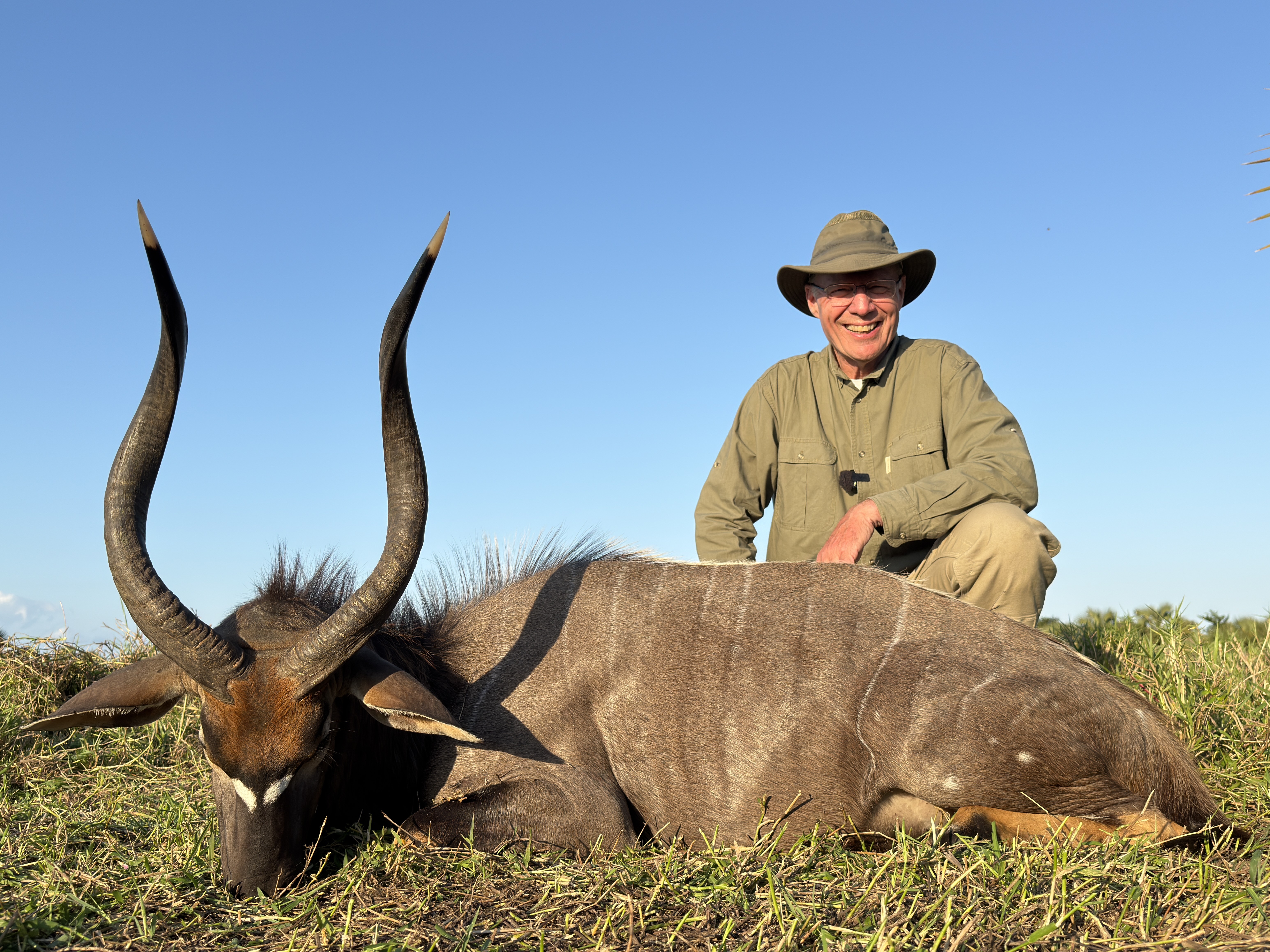 nyala2.jpeg