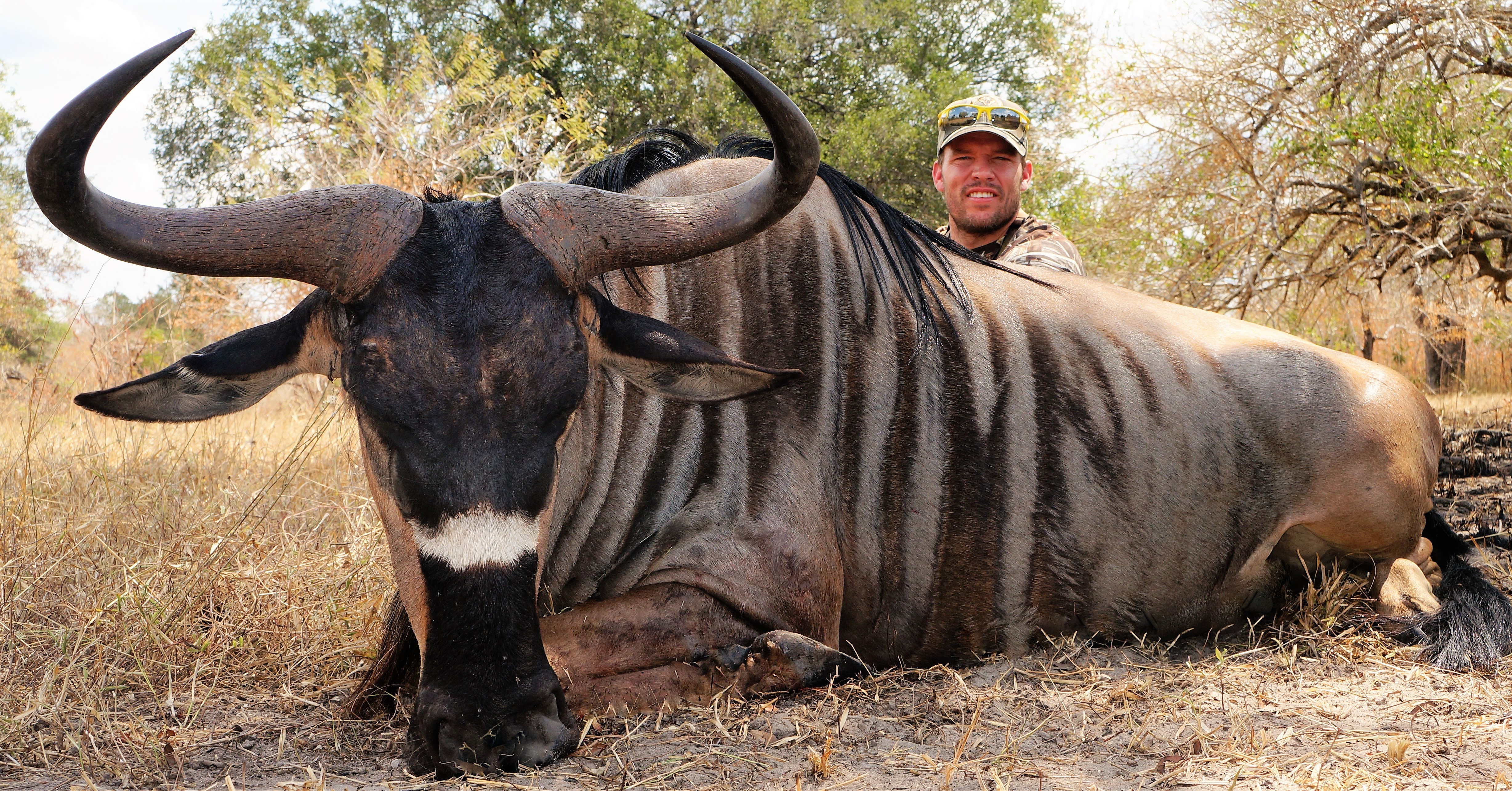 Nyasa Wildebeest - Selous.jpg