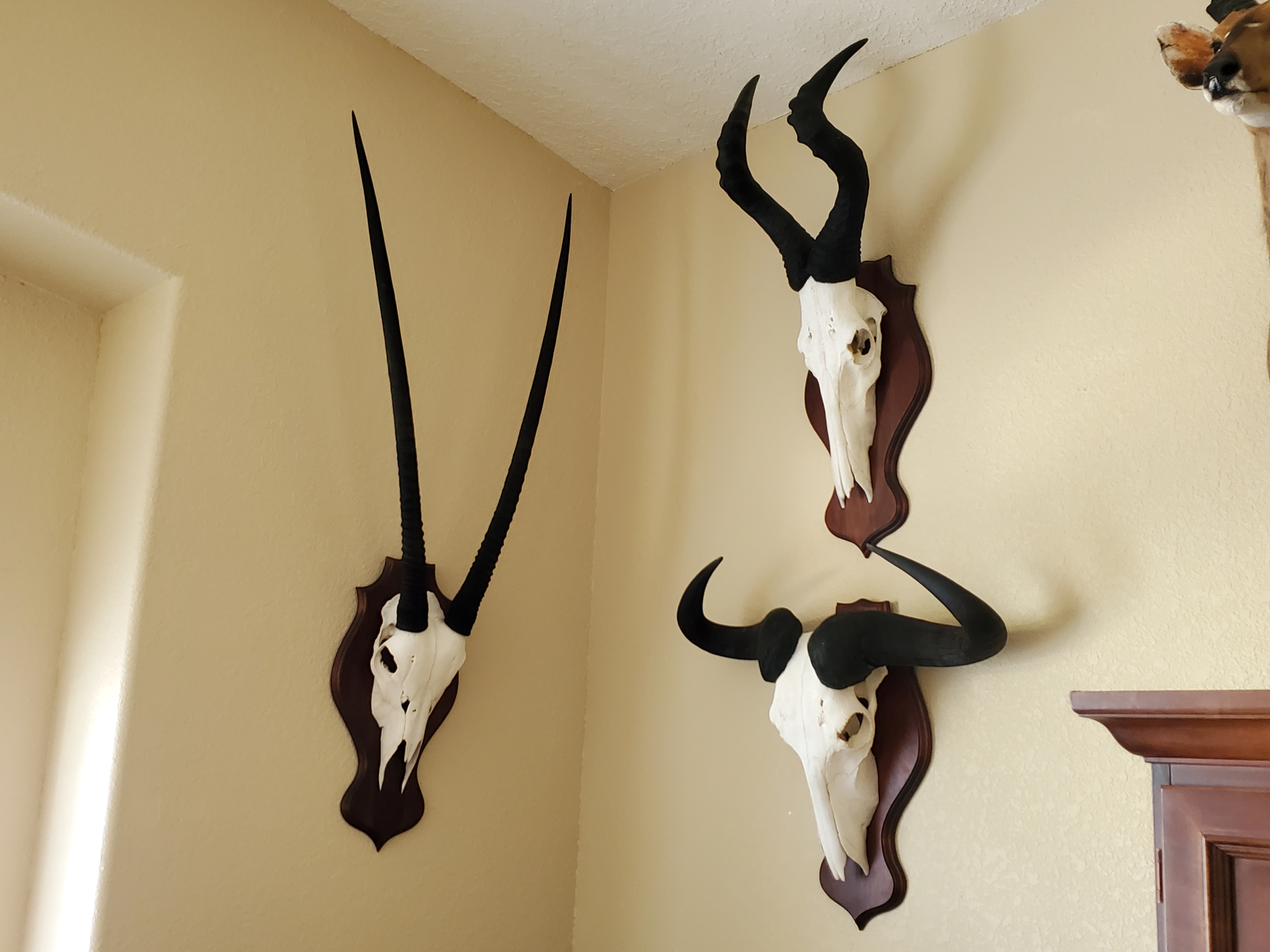 Office Euro Mounts.jpg