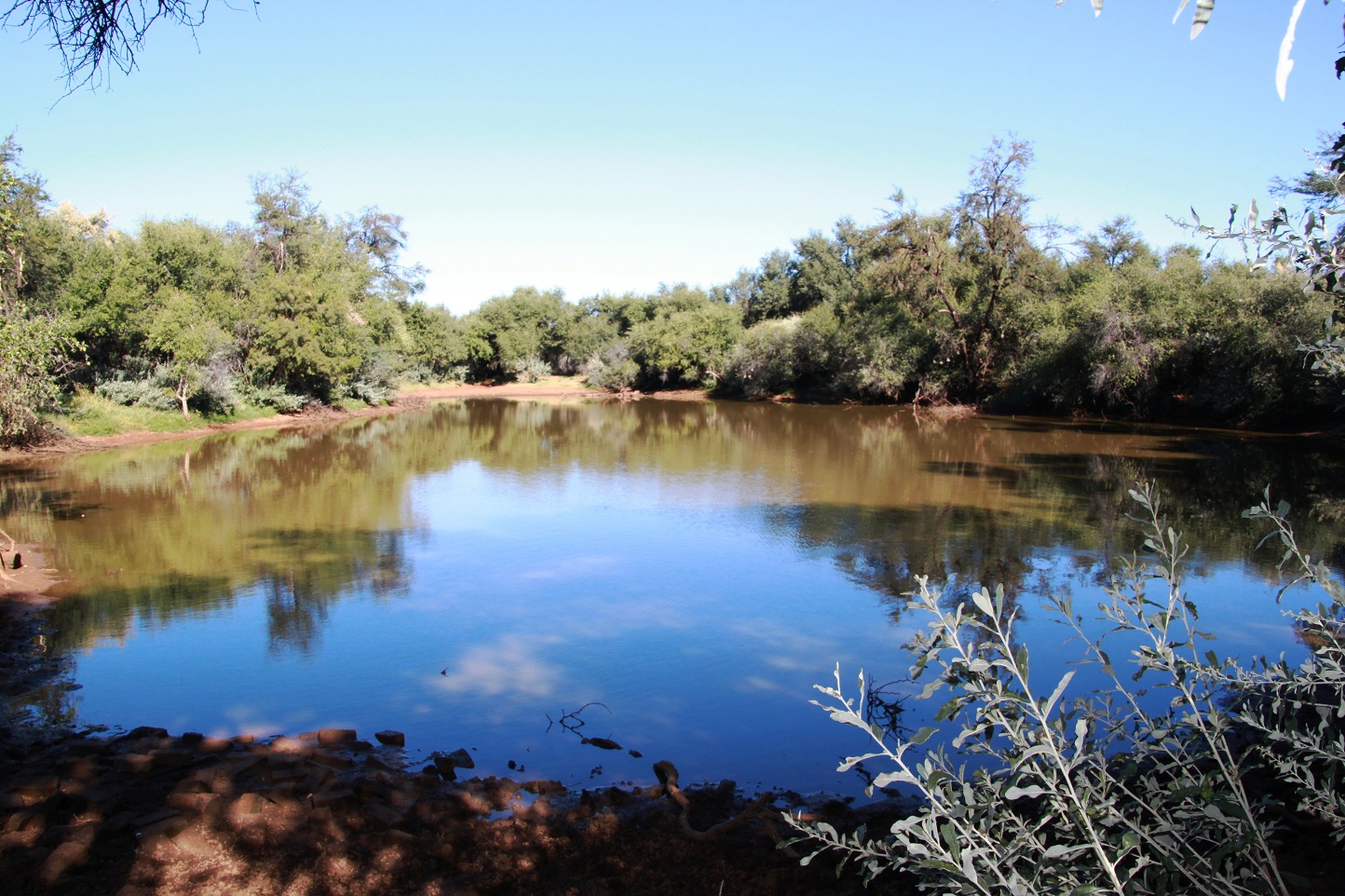 One of the many waterholes that we found during our hunts.JPG