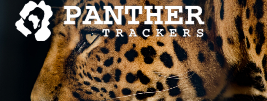 panther-trackers-01.jpg