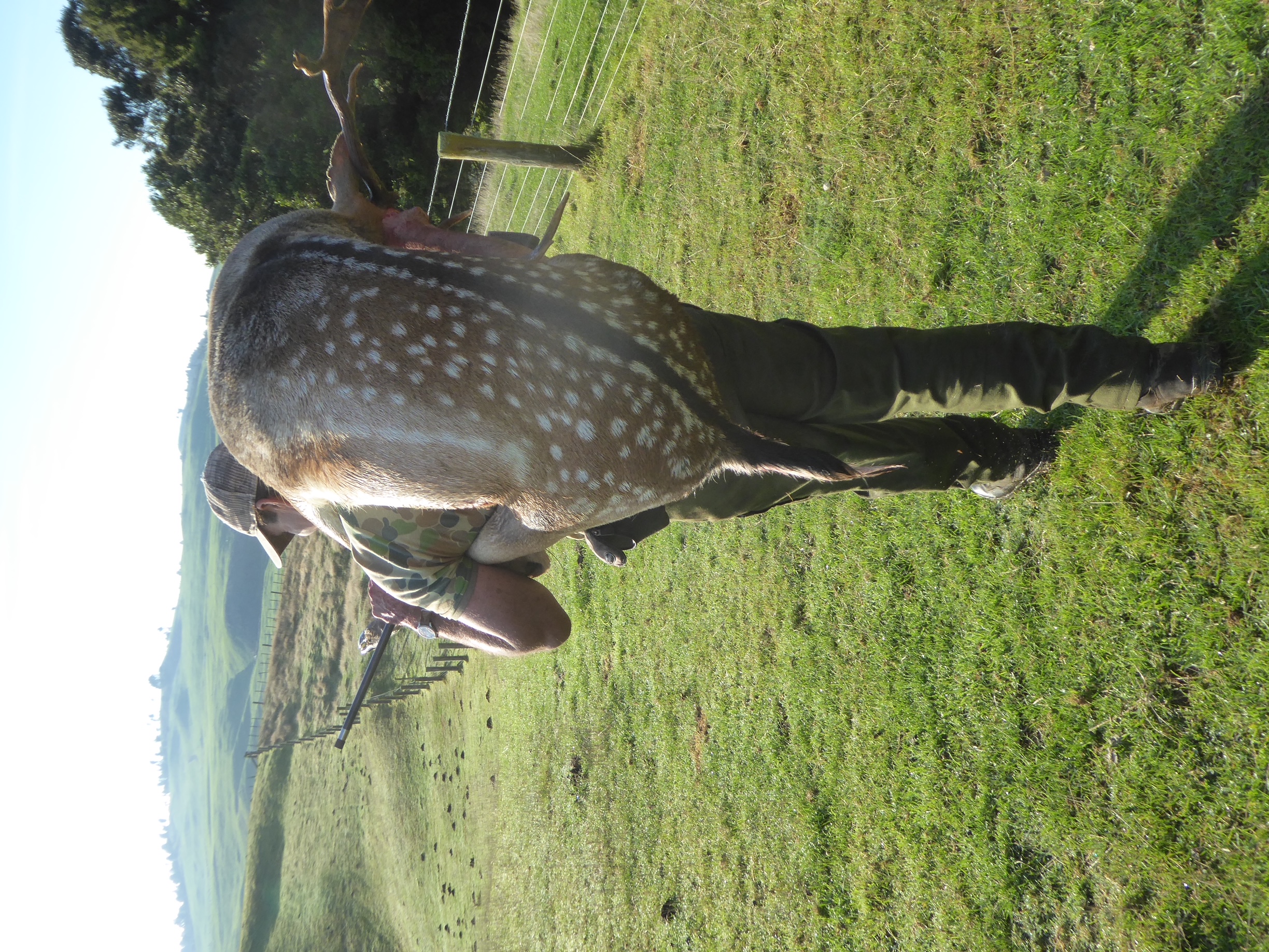 Paris with Fallow Buck Me Carrying it smaller.JPG