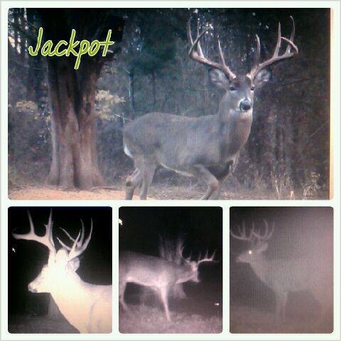 Photo_Grid_PhotoGrid_1365967484217.jpeg
