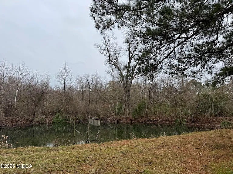 Pond.jpg