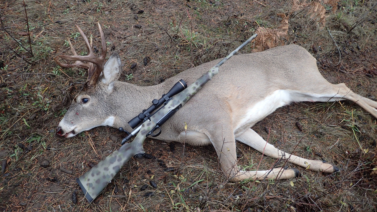 rbuck11112021deer-004.jpg