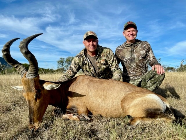 Red hartebeest Joe.jpg