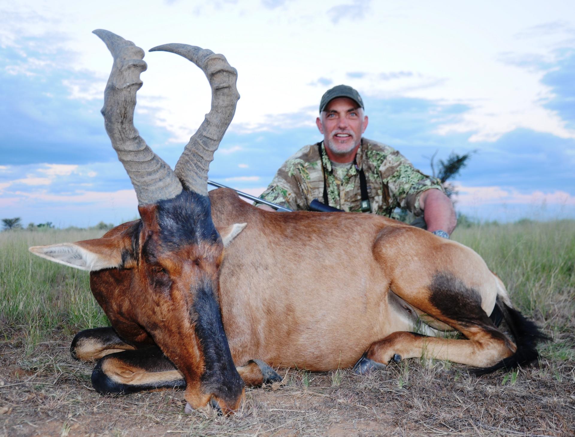 Red Hartebeest.jpg