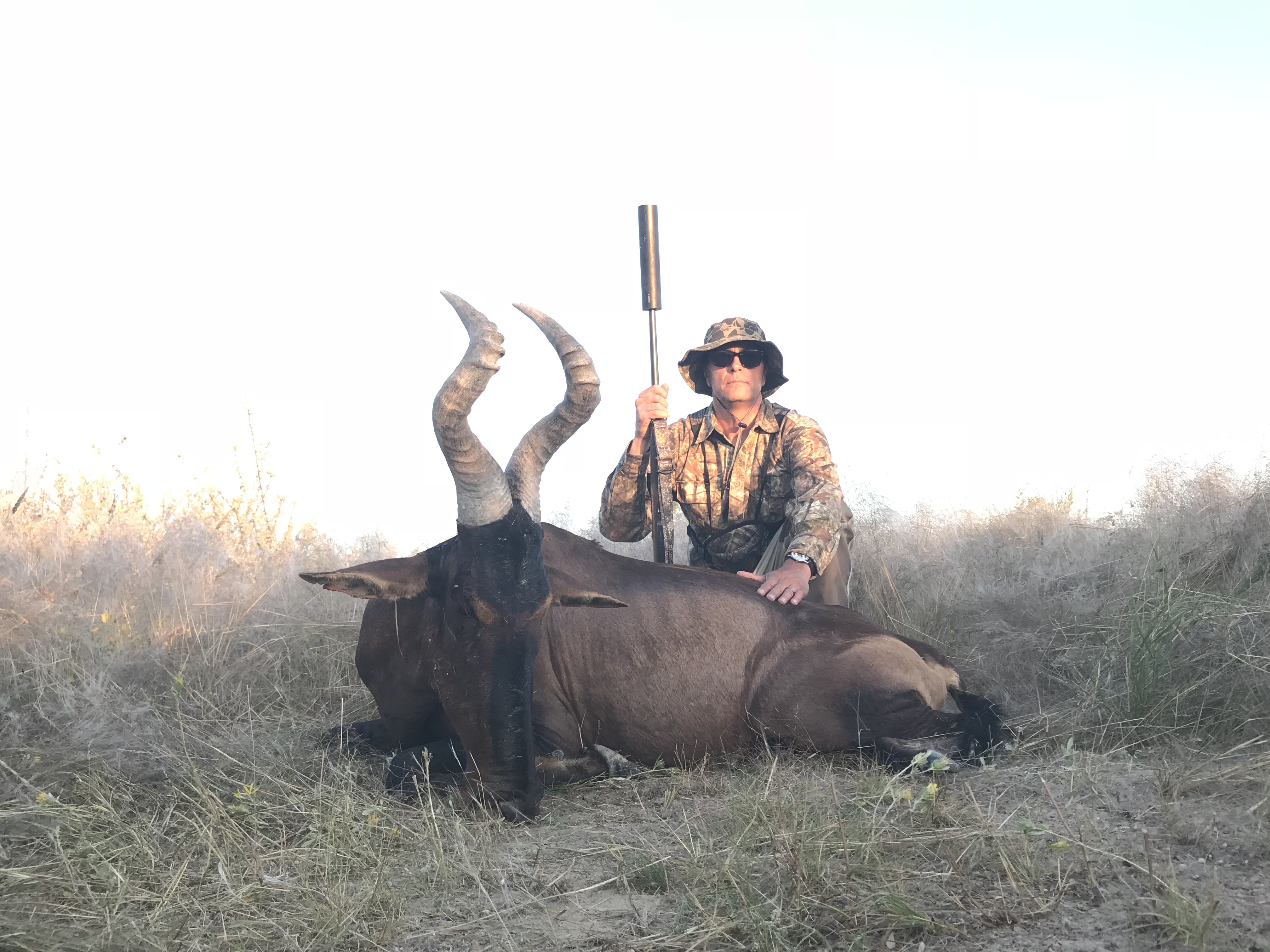 Red Hartebeest.JPG