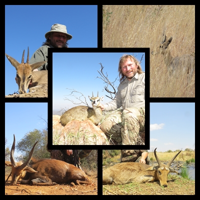 Reedbuck special.jpg