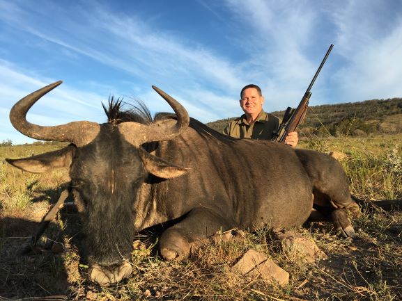 resize wildebeest.JPG