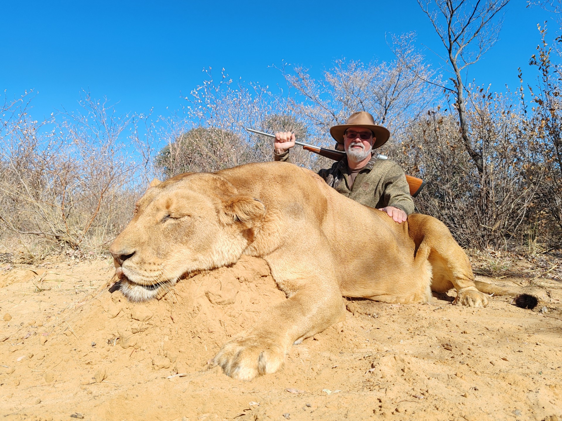 Resized_30Lion.jpeg