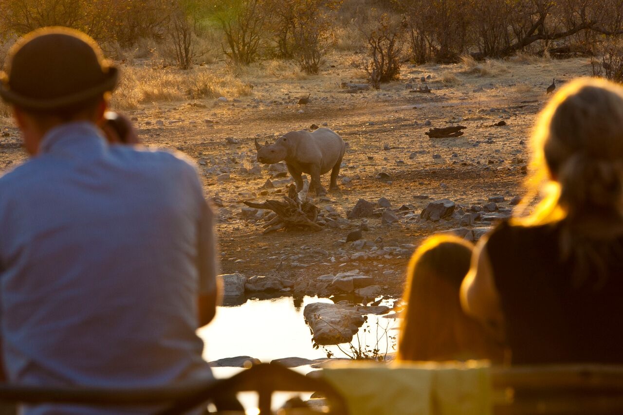 rhino-slaughter-continues2016-11-250.jpg