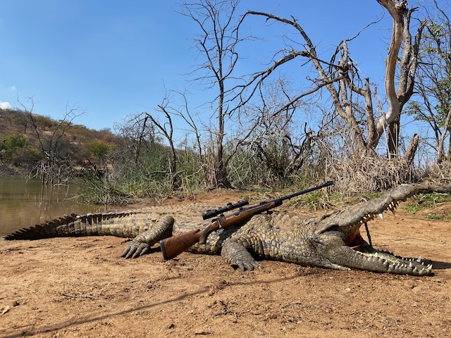 rifle and croc.jpeg
