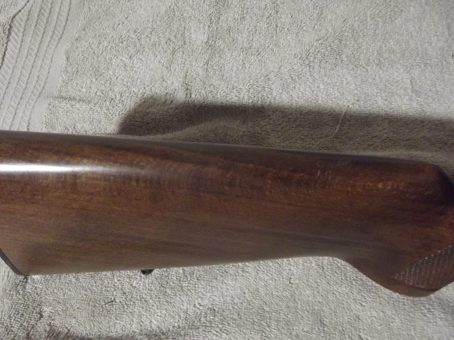 RkWf7A7l.jpg