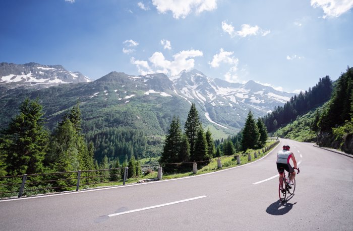 RoadCyclist.jpeg