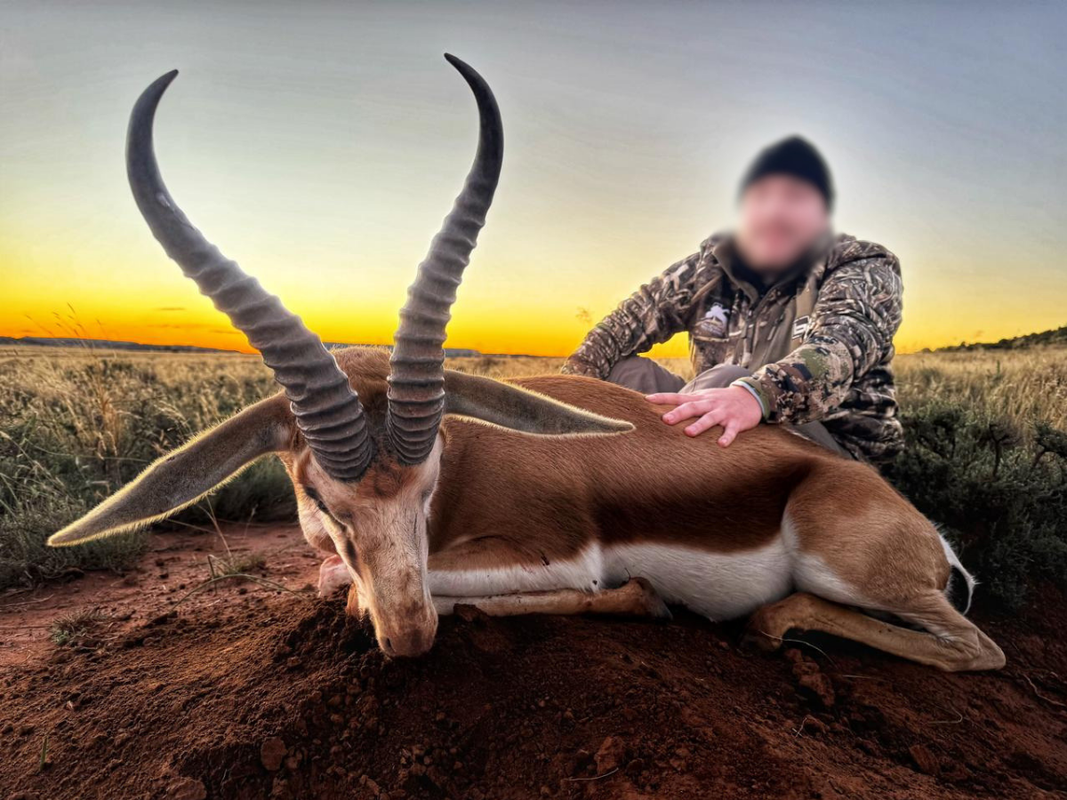 SA78.png