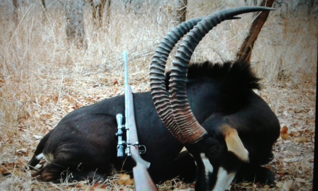 sable 2 - Coutada 9.JPG
