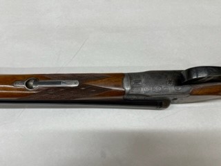 Sauer 11.jpg