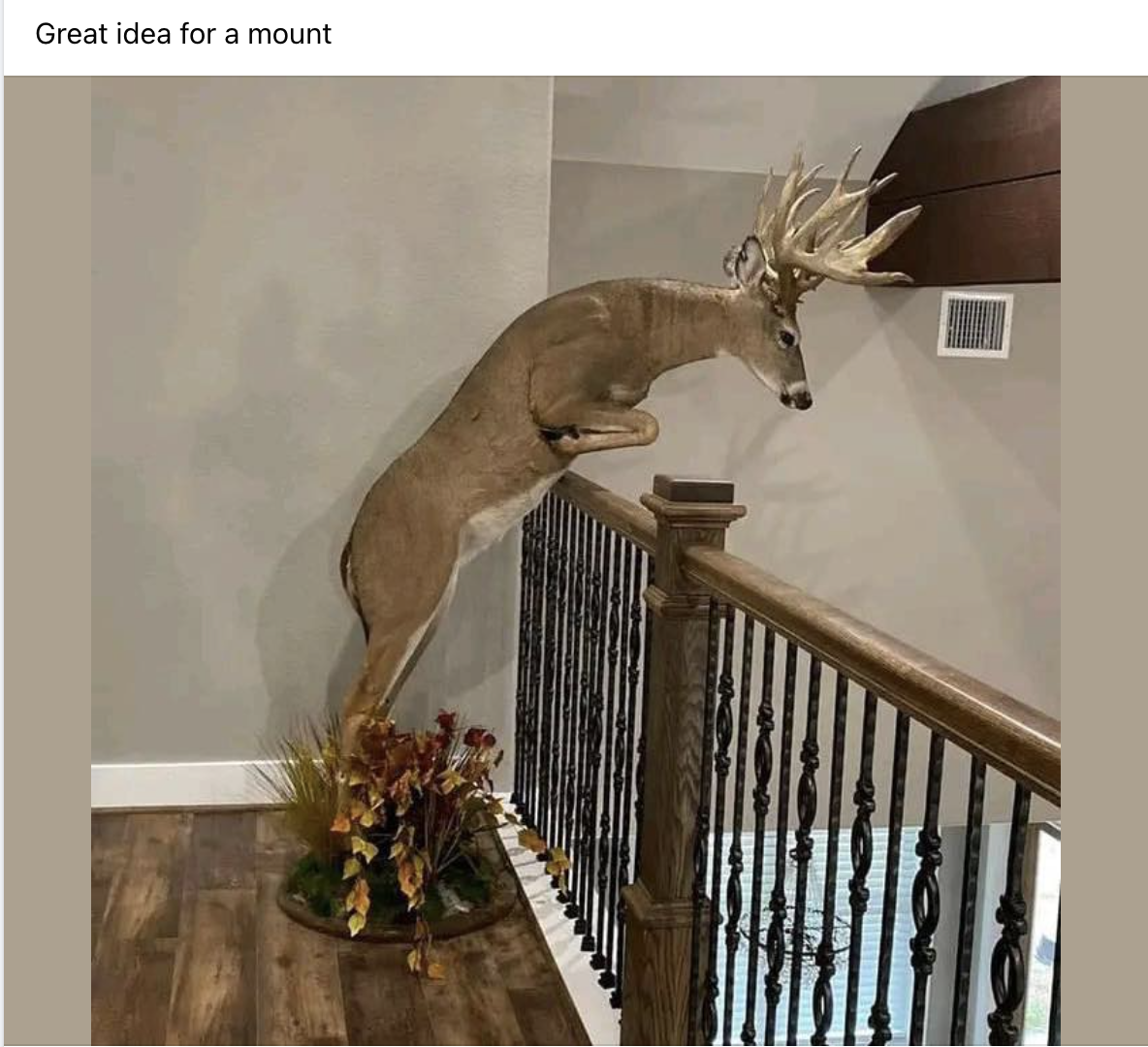 Screenshot 2024-09-24 at 1.11.39 PM.png