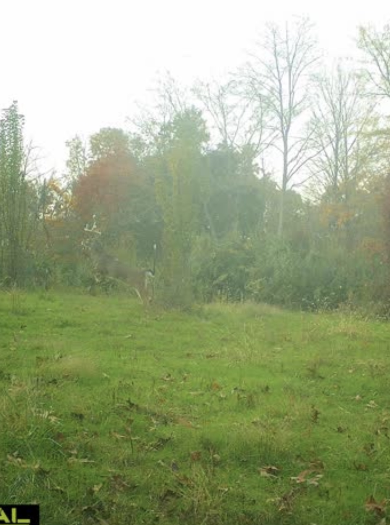 Screenshot 2025-11-06 at 6.05.00 PM.jpeg