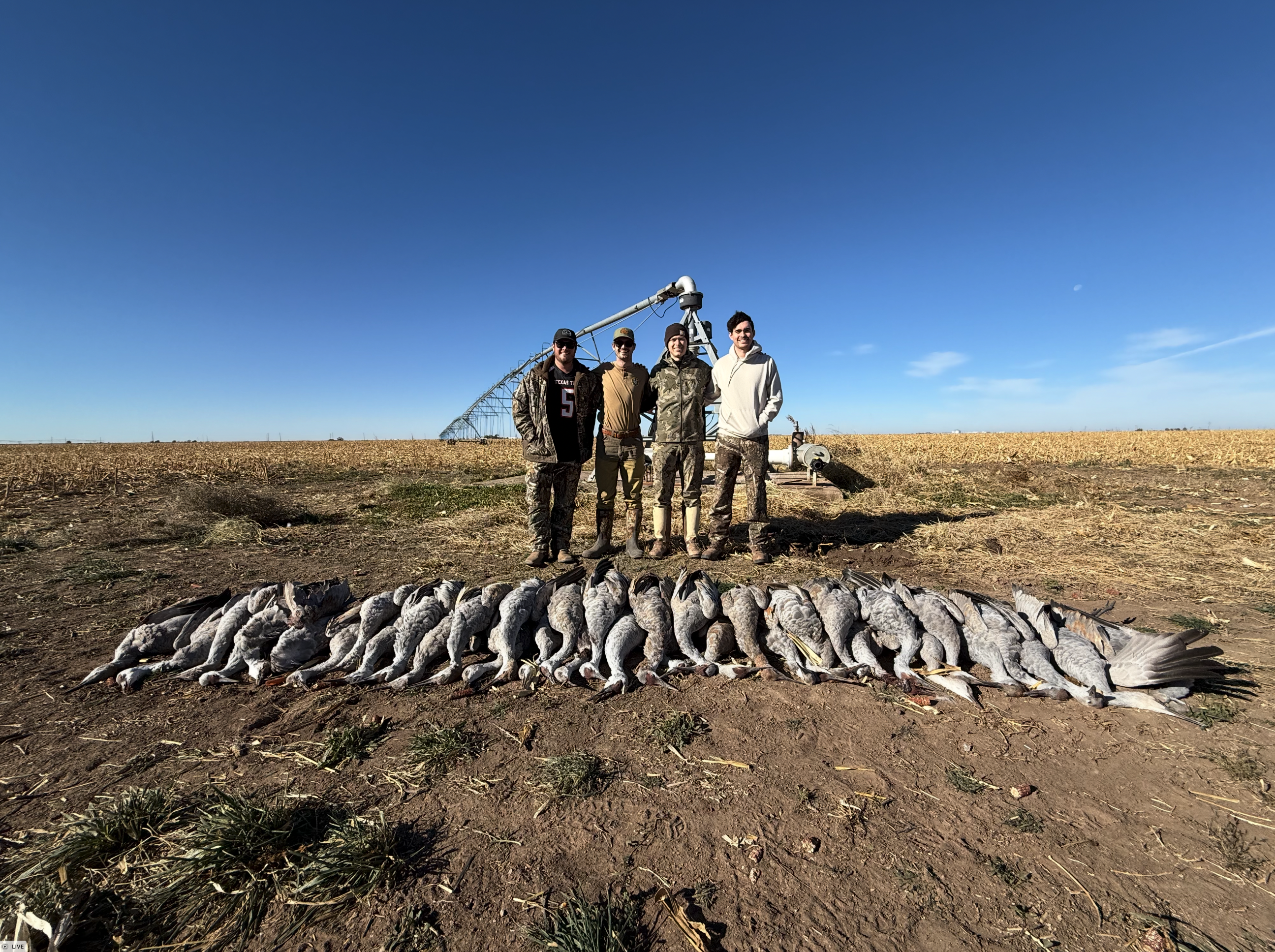 Screenshot 2025-11-10 at 2.35.18 PM.png