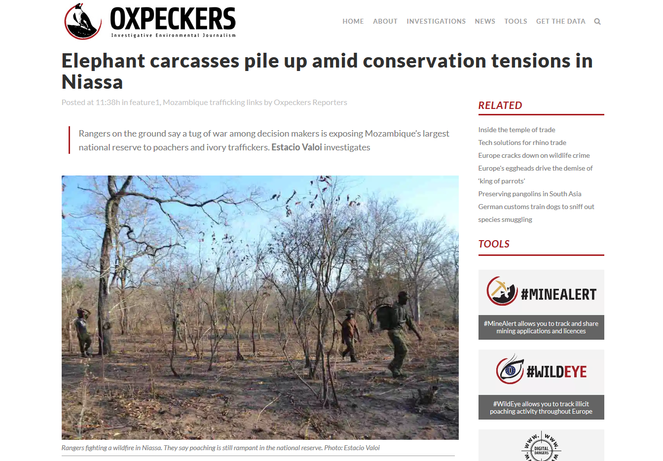 Screenshot_2019-09-12 Elephant carcasses pile up amid conservation tensions in Niassa.png
