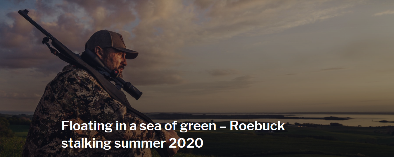 Screenshot_2020-07-01 Floating in a sea of green – Roebuck stalking summer 2020.png