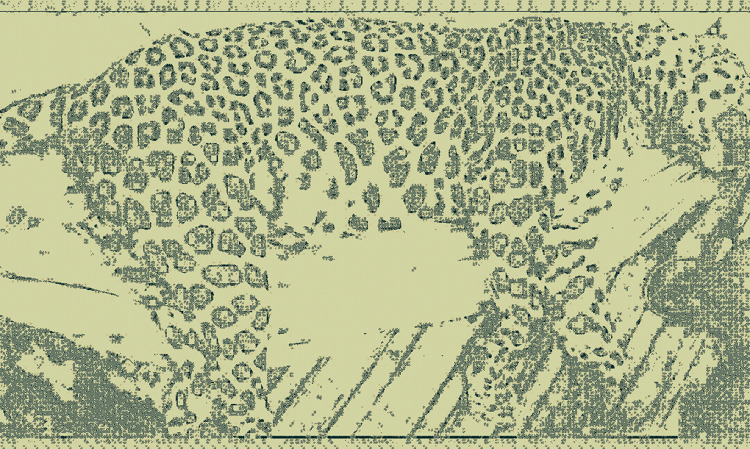 Screenshot_20200416-234140_01_01_01_01_01_01_01_01_01_01_01_01_01_01_01_01_01_01_01.png