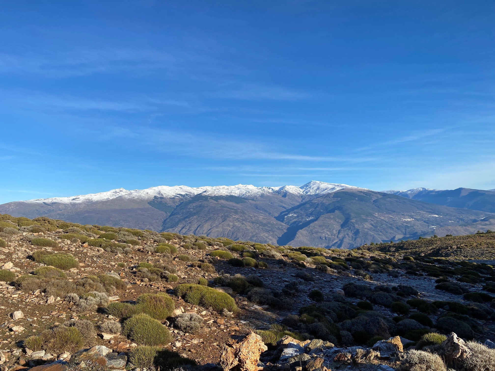Sierra Nevada Mtns.jpg