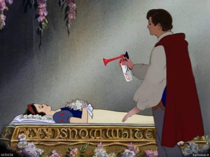 snow white.jpeg