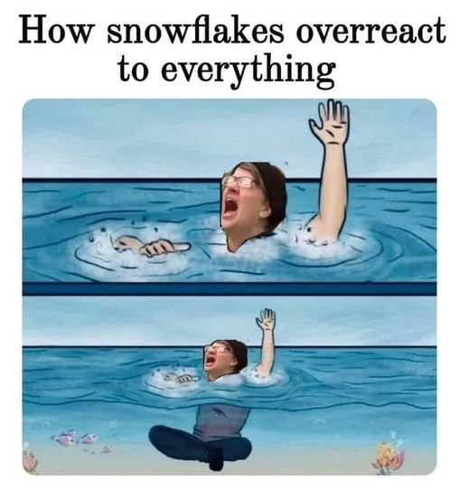 snowflake meme.jpg