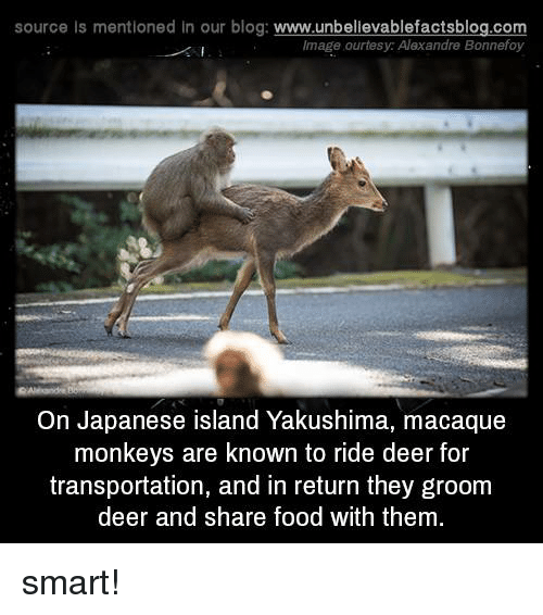 source-is-mentioned-in-our-blog-www-unbelievablefactsblog-com-image-ourtesy-alexandre-4225355.png