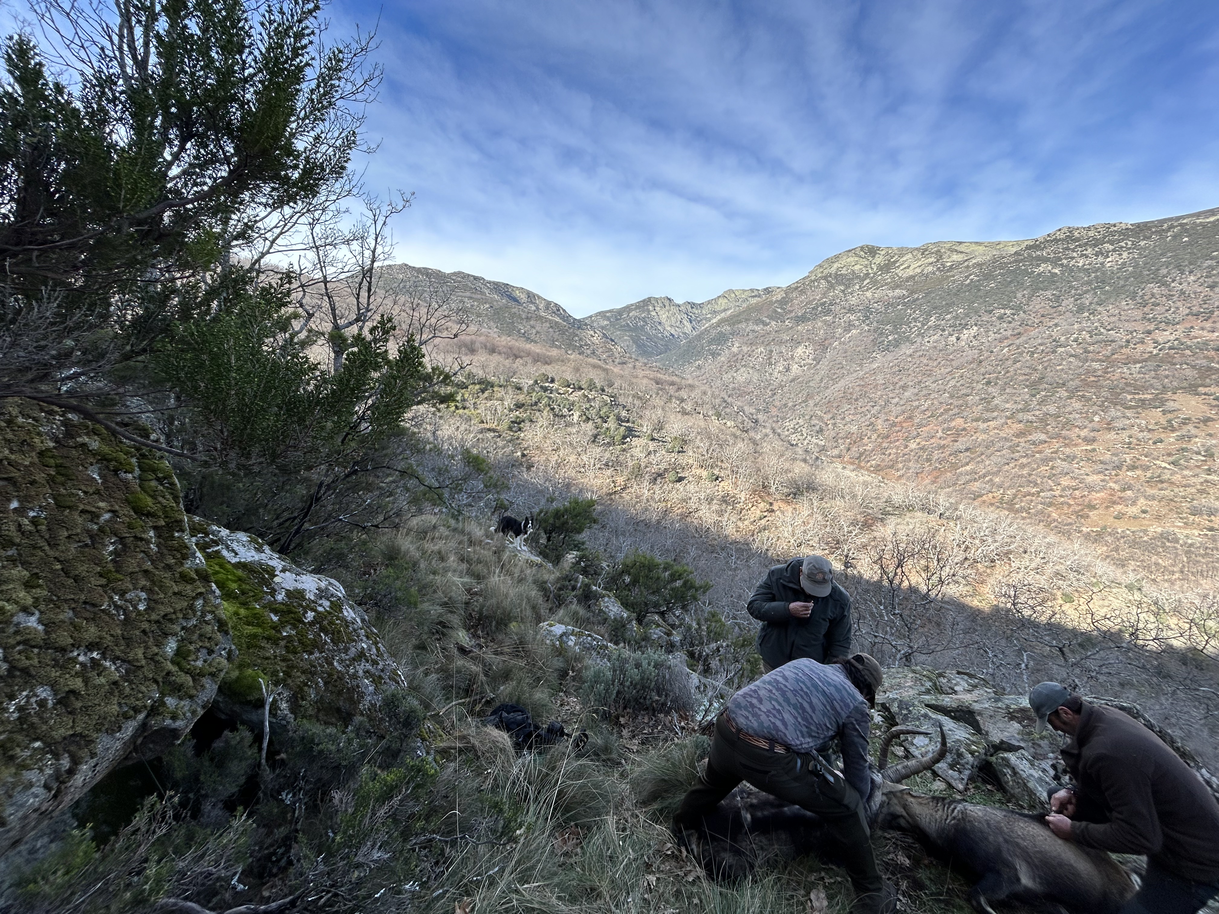 Spain - Ibex hunt II.jpeg