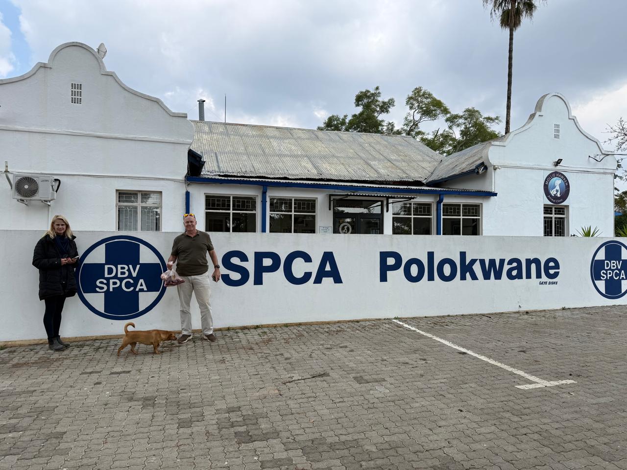 SPCA 1.jpeg