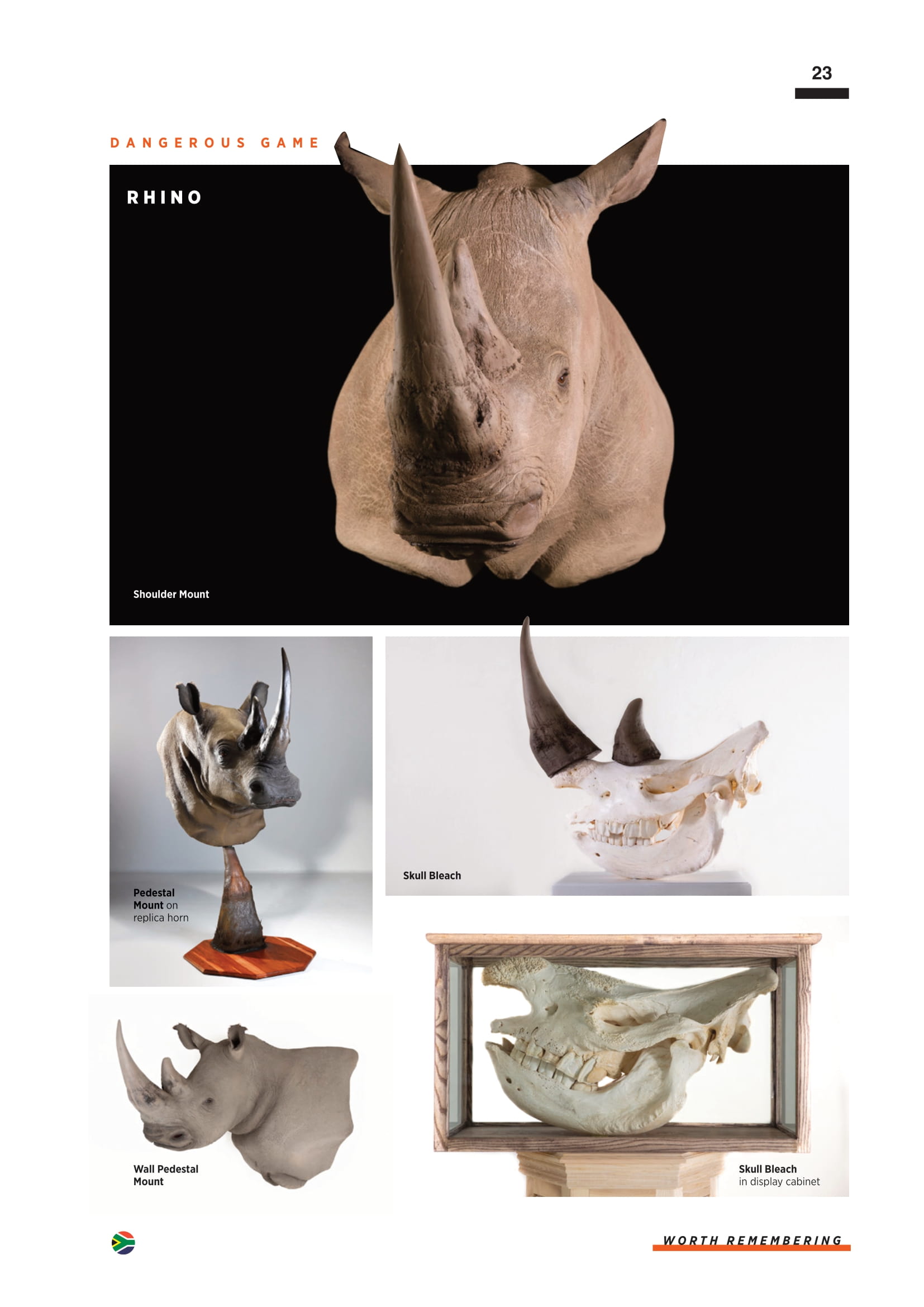 splitting-image-taxidermy-025.jpg