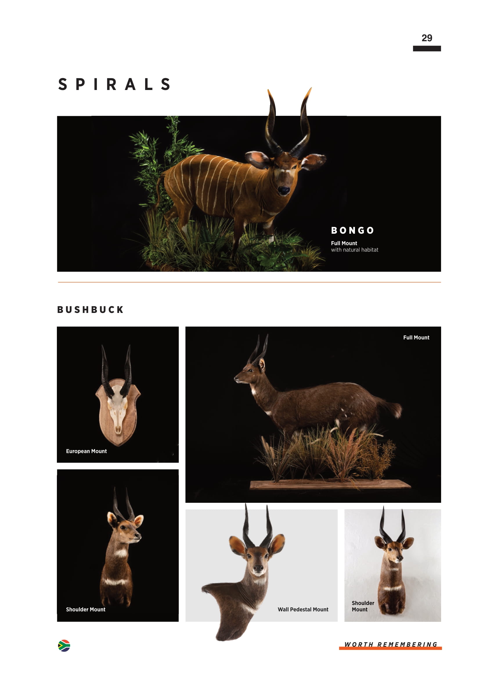 splitting-image-taxidermy-031.jpg